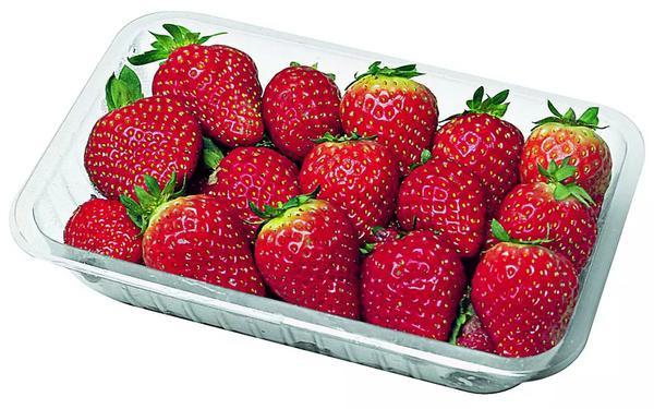 Morango Hortifruti